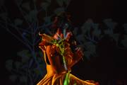 Podcast “La Fleur de la Solitude”/"Cvit samoće" na svim omiljenim podcast platformama