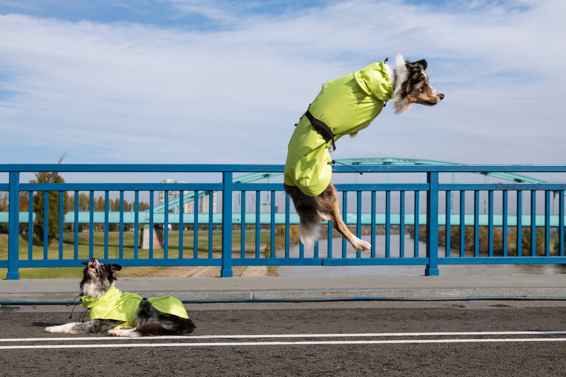 Dizajnerica Ana Maria Ricov predstavlja novu Shibesu kolekciju: Od crne klasike do vibrantne limete