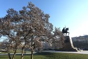 Tomislavac uskoro postaje mjesto najljepših fotki na Instagramu: Cvate magnolija, najpopularnije drvo u Zagrebu