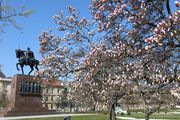 Procvjetala je magnolija na zagrebačkom Tomislavcu i Zagrebu podarila najljepši proljetni kutak