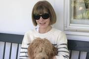 Anna Wintour objavila fotografiju iz izolacije i poslala snažnu poruku: "Pozitiva je sad dragocjena stvar"