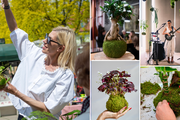 Hangin’ Garden je mali zeleni studio iz Zagreba u kojem biljke postaju lebdeće skulpture