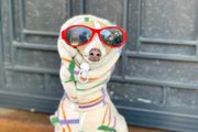 Upoznajte Margaret, psića kojeg prati 60 tisuća ljudi na Instagramu
