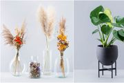 Biljkoljupci, pozor! Hortiart Home predstavio je novu kolekciju sa suhim cvijećem, a ima i odličan rođendanski popust