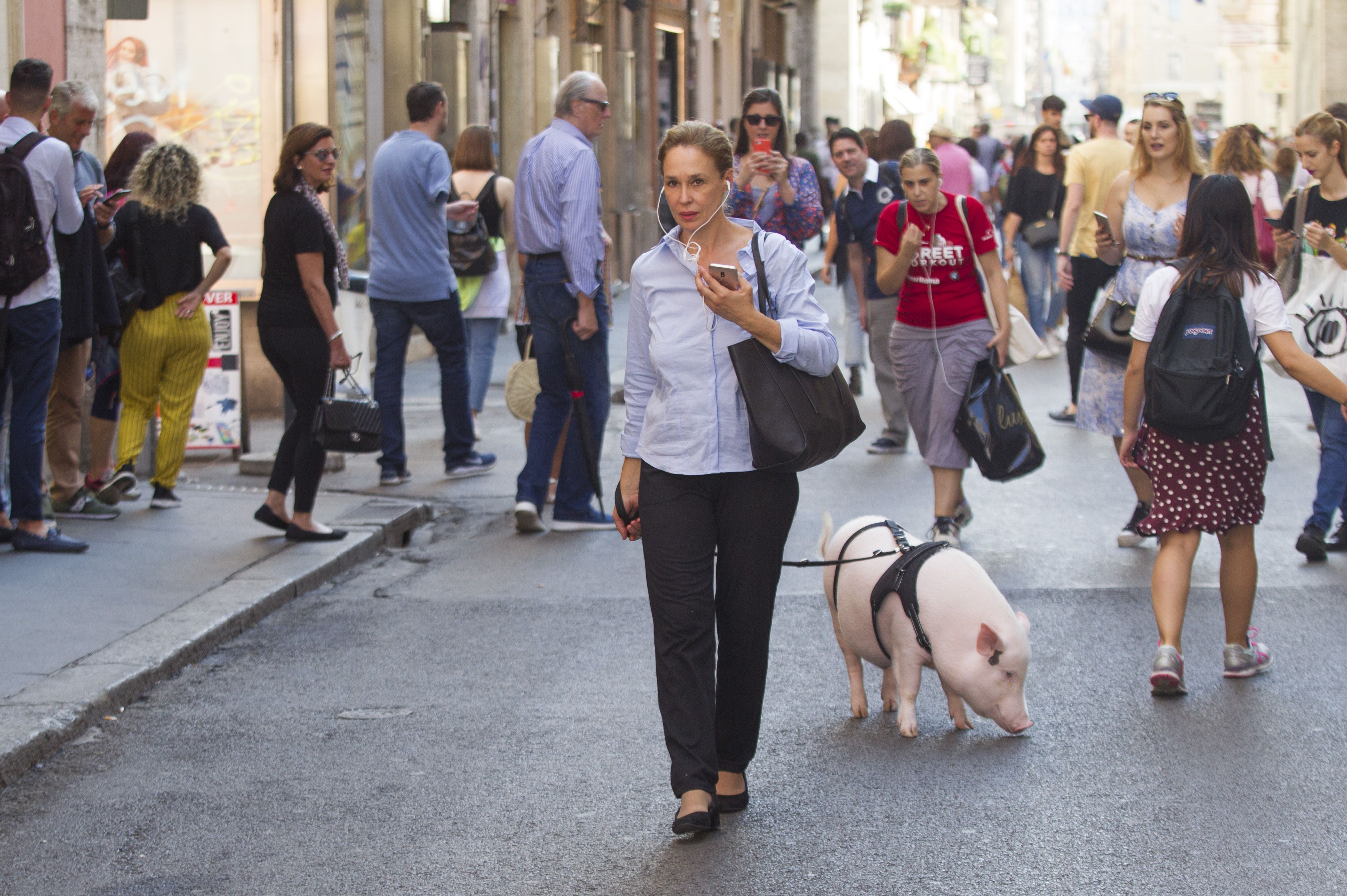 Nesvakidašnji prizor u srcu Rima: Gospođa u šetnju izvela svoju svinju Dior