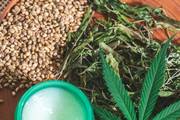 Djeluje li stvarno CBD krema od konoplje? Matej Uršič iz Konoplje Zdravi objašnjava za što je sve korisna
