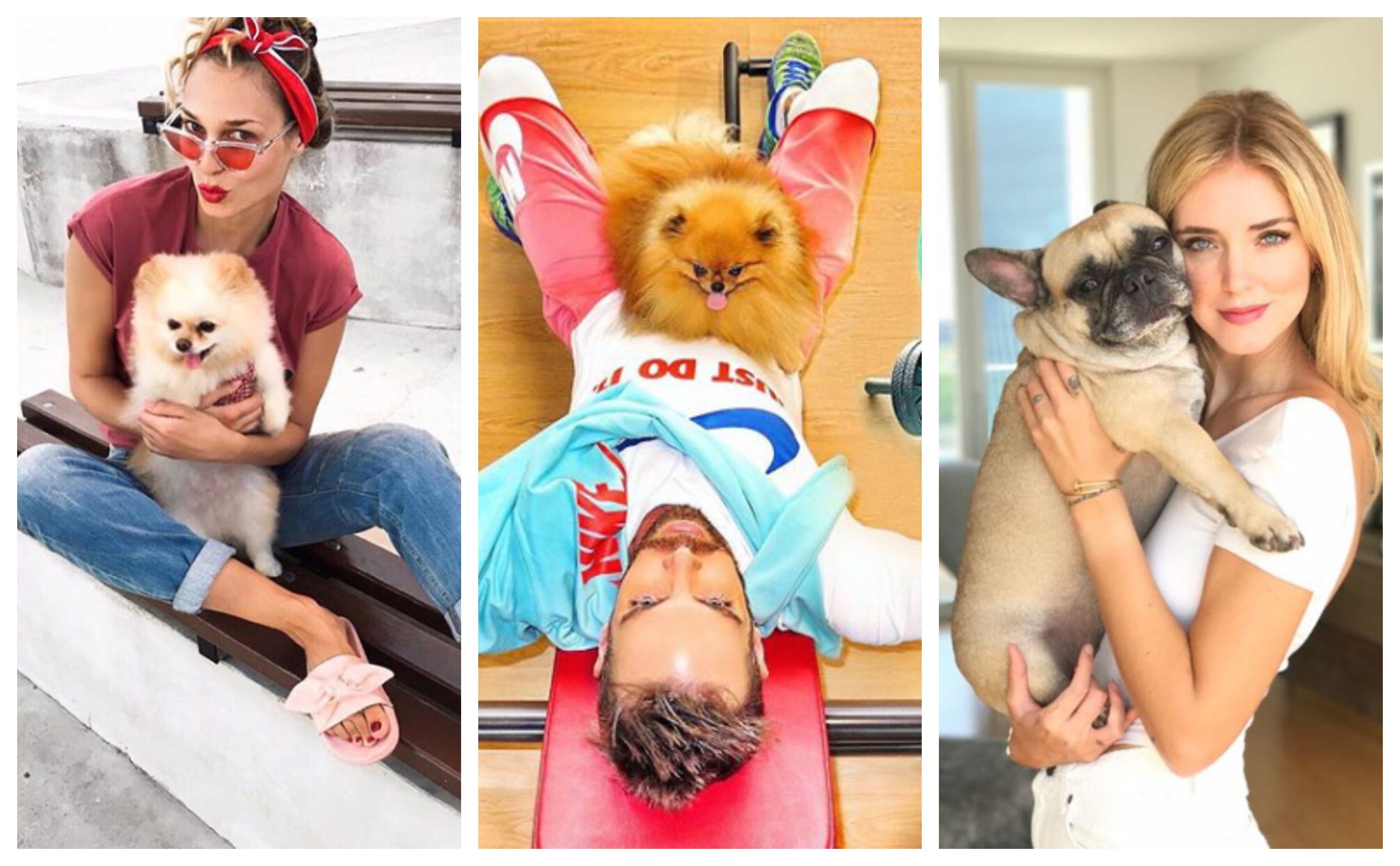 Upoznajte najstylish psiće domaćih i stranih zvijezda! Neki imaju i svoj Instagram