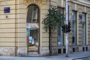 Sjećate li se čudesnog drveta u centru Zagreba koje raste iz asfalta? Sad je procvjetalo i izgleda prekrasno